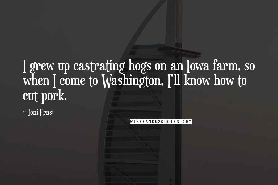 Joni Ernst Quotes: I grew up castrating hogs on an Iowa farm, so when I come to Washington, I'll know how to cut pork.