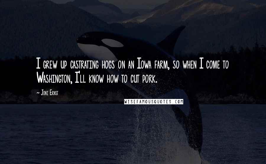 Joni Ernst Quotes: I grew up castrating hogs on an Iowa farm, so when I come to Washington, I'll know how to cut pork.