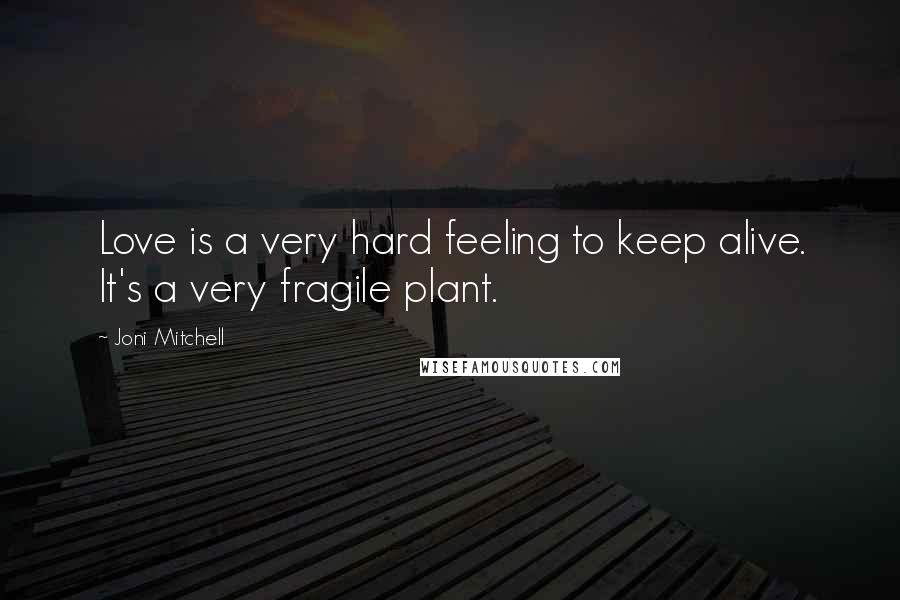 Joni Mitchell Quotes: Love is a very hard feeling to keep alive. It's a very fragile plant.