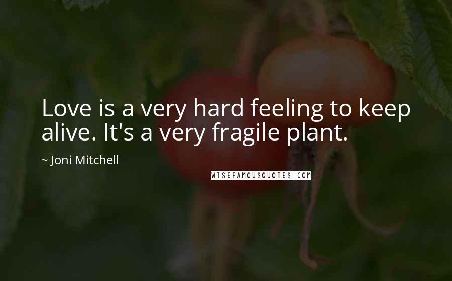 Joni Mitchell Quotes: Love is a very hard feeling to keep alive. It's a very fragile plant.