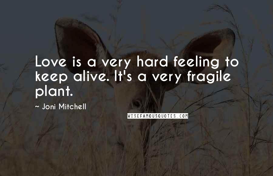 Joni Mitchell Quotes: Love is a very hard feeling to keep alive. It's a very fragile plant.