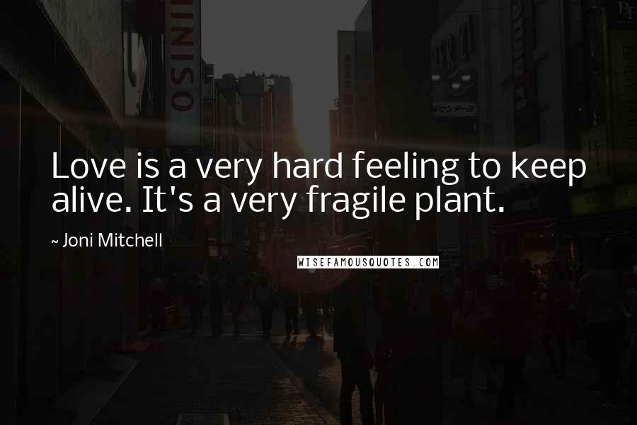 Joni Mitchell Quotes: Love is a very hard feeling to keep alive. It's a very fragile plant.