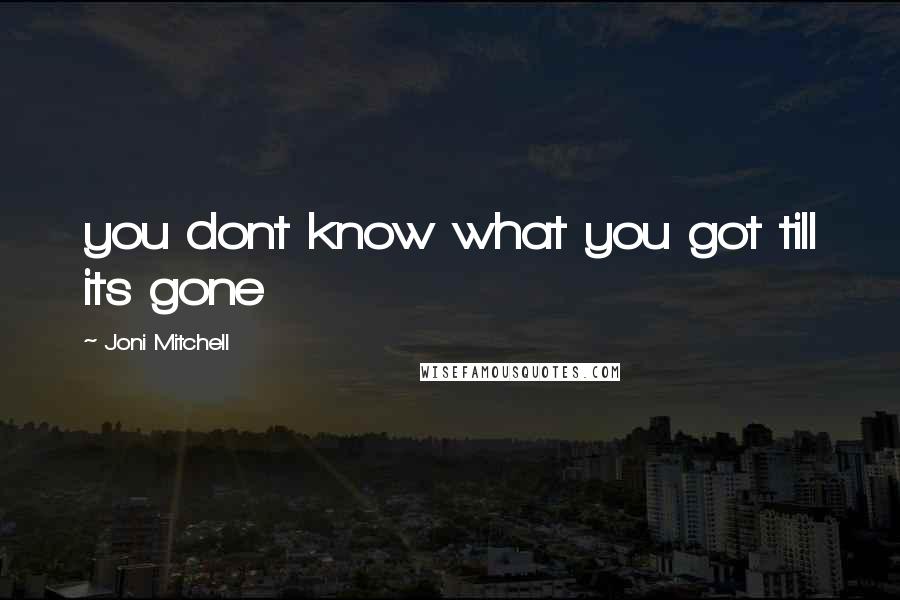 Joni Mitchell Quotes: you dont know what you got till its gone