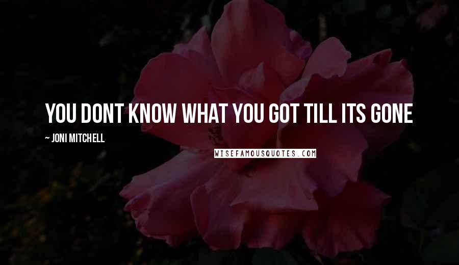 Joni Mitchell Quotes: you dont know what you got till its gone