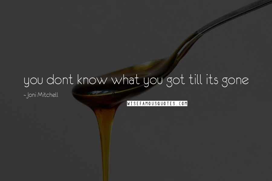 Joni Mitchell Quotes: you dont know what you got till its gone