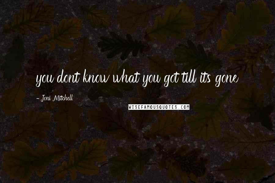 Joni Mitchell Quotes: you dont know what you got till its gone