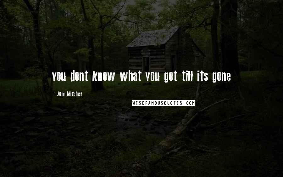 Joni Mitchell Quotes: you dont know what you got till its gone