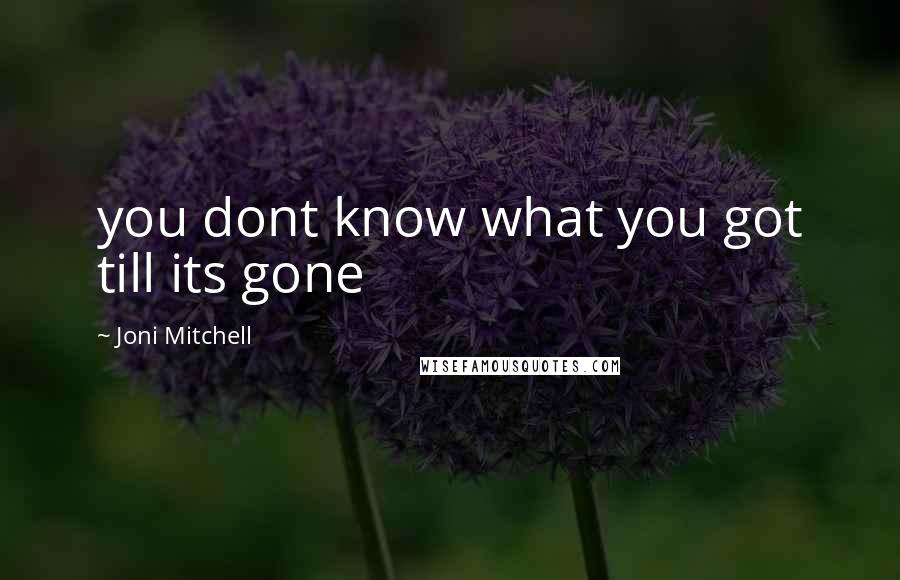 Joni Mitchell Quotes: you dont know what you got till its gone