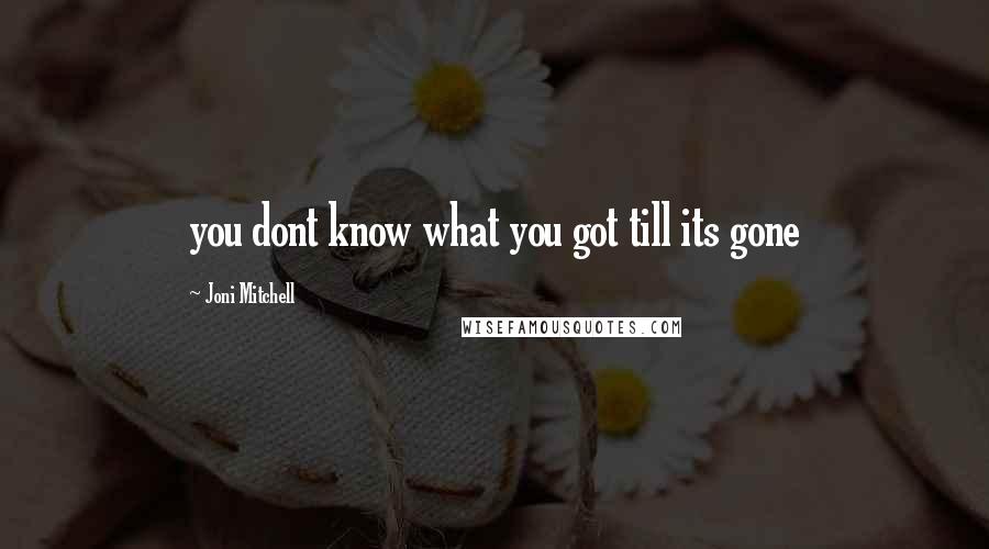 Joni Mitchell Quotes: you dont know what you got till its gone