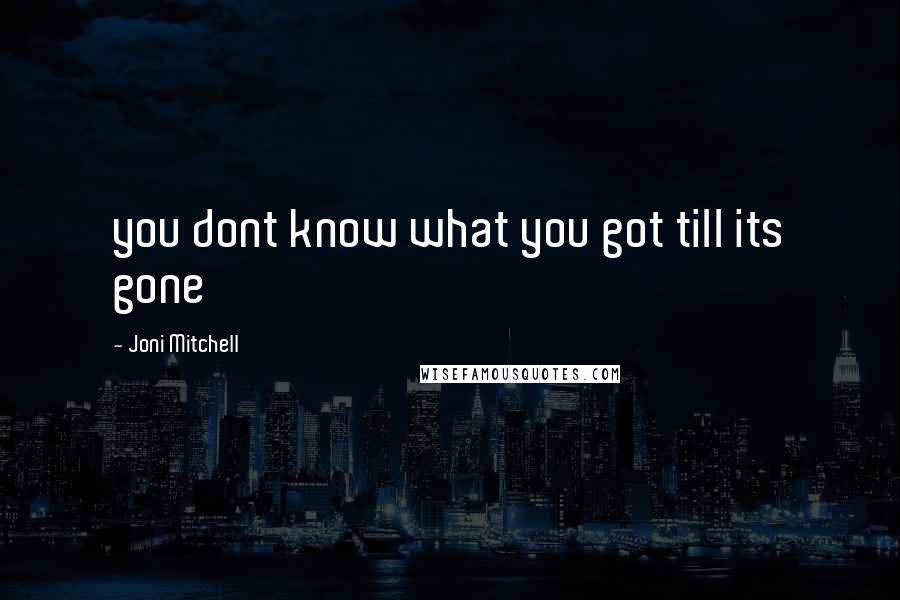 Joni Mitchell Quotes: you dont know what you got till its gone