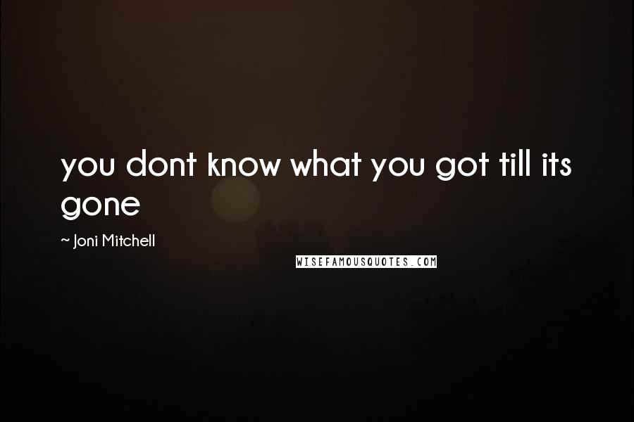 Joni Mitchell Quotes: you dont know what you got till its gone