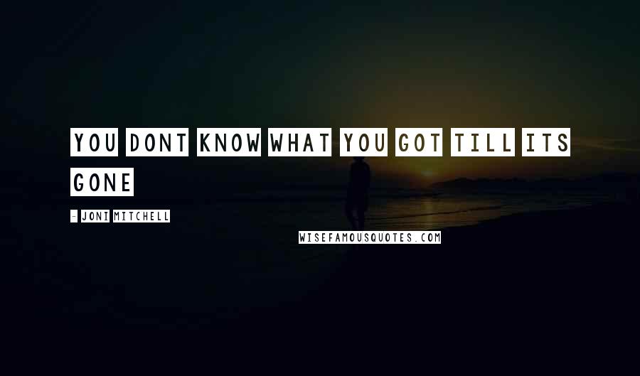 Joni Mitchell Quotes: you dont know what you got till its gone