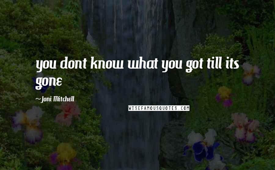 Joni Mitchell Quotes: you dont know what you got till its gone