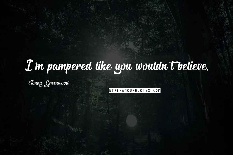 Jonny Greenwood Quotes: I'm pampered like you wouldn't believe.