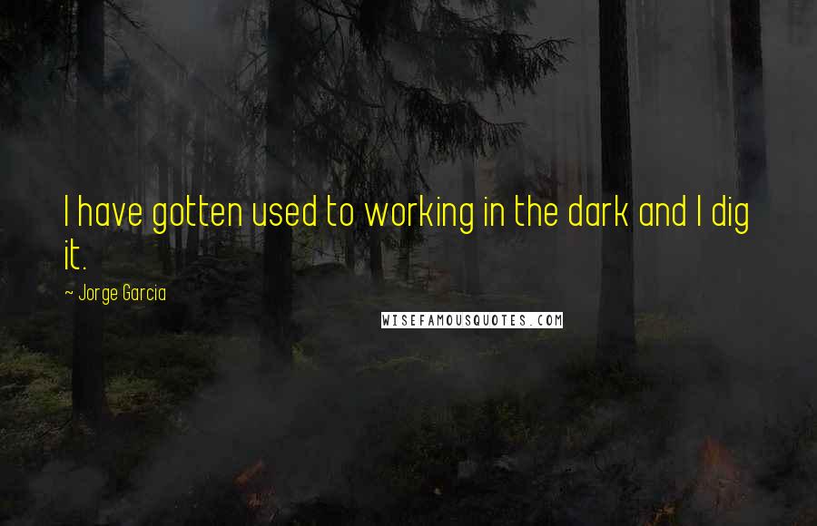 Jorge Garcia Quotes: I have gotten used to working in the dark and I dig it.