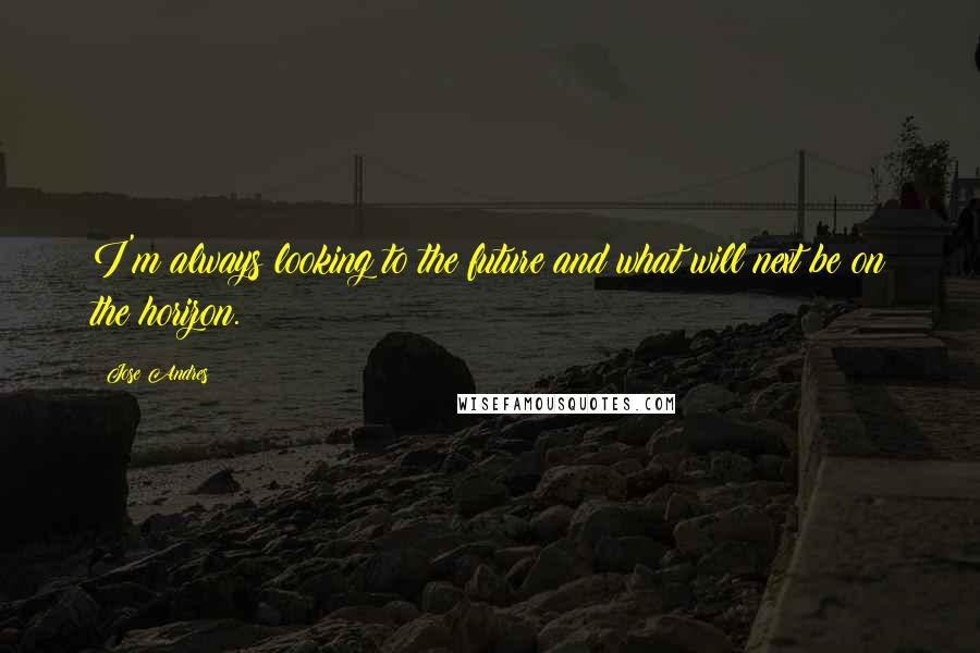 Jose Andres Quotes: I'm always looking to the future and what will next be on the horizon.