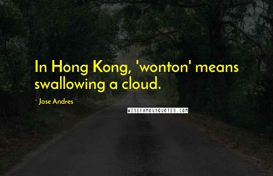 Jose Andres Quotes: In Hong Kong, 'wonton' means swallowing a cloud.