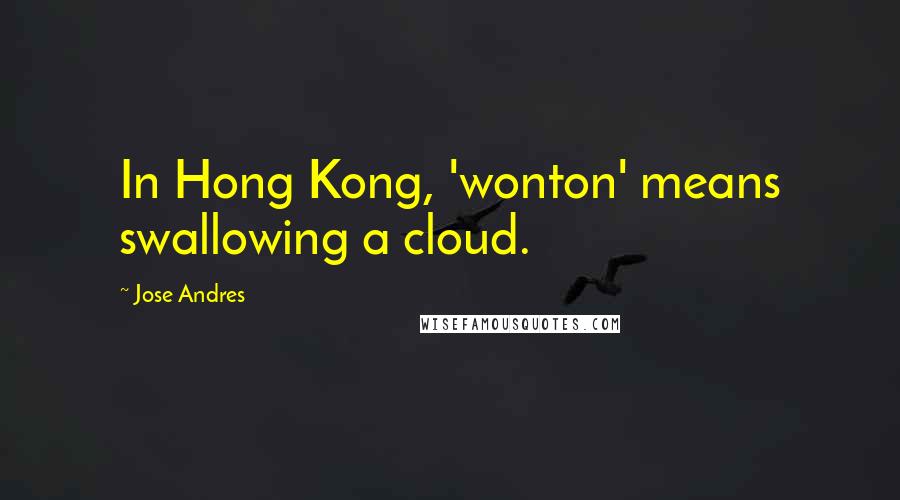 Jose Andres Quotes: In Hong Kong, 'wonton' means swallowing a cloud.