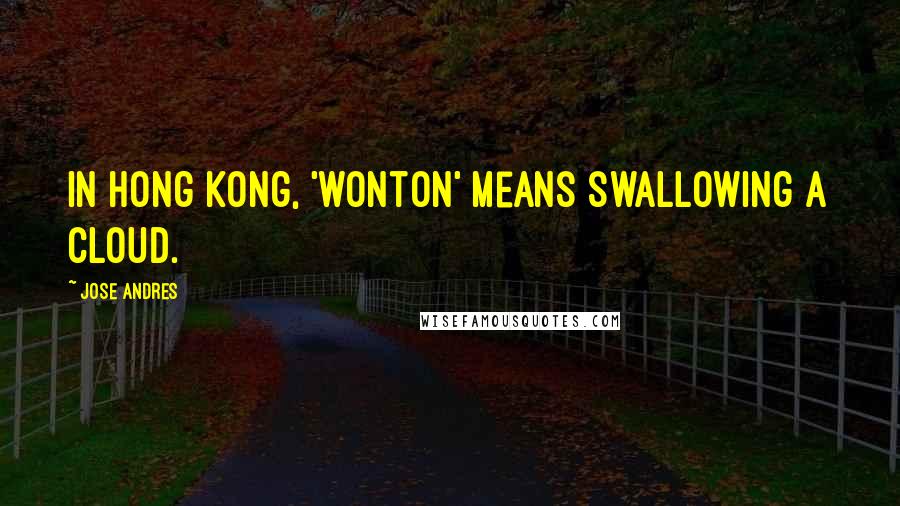 Jose Andres Quotes: In Hong Kong, 'wonton' means swallowing a cloud.