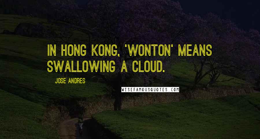 Jose Andres Quotes: In Hong Kong, 'wonton' means swallowing a cloud.