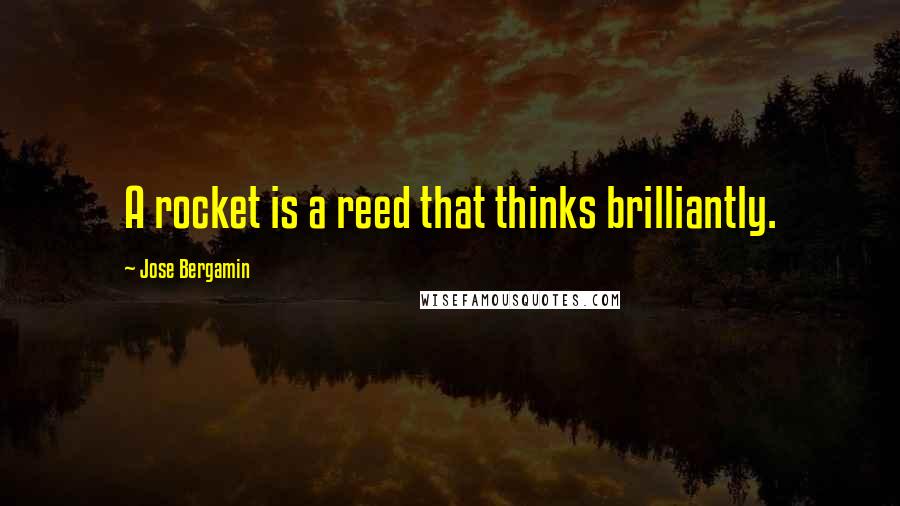 Jose Bergamin Quotes: A rocket is a reed that thinks brilliantly.