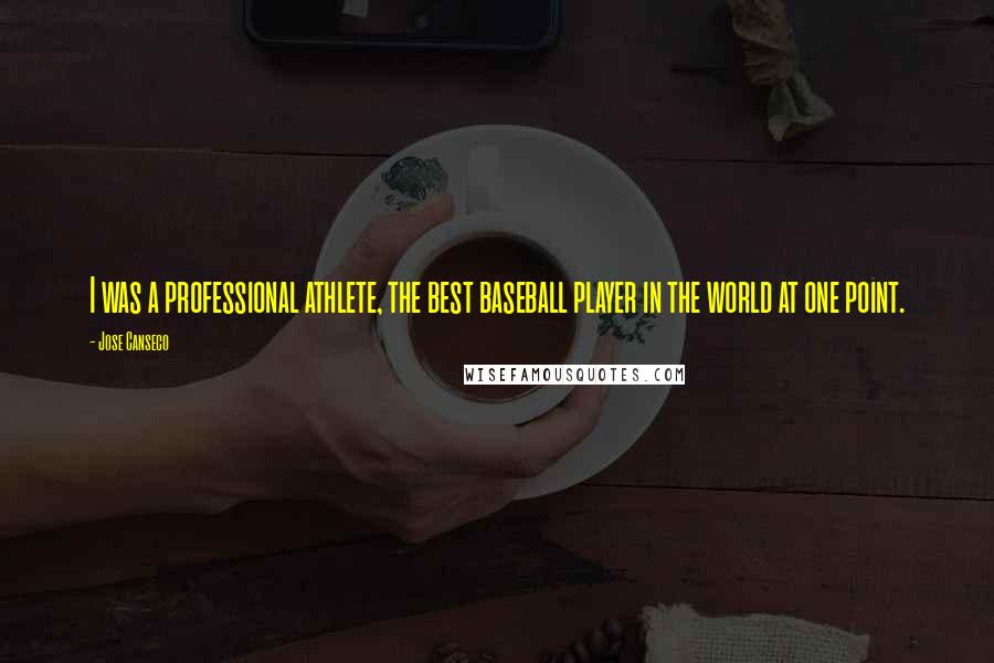 Jose Canseco Quotes: I was a professional athlete, the best baseball player in the world at one point.