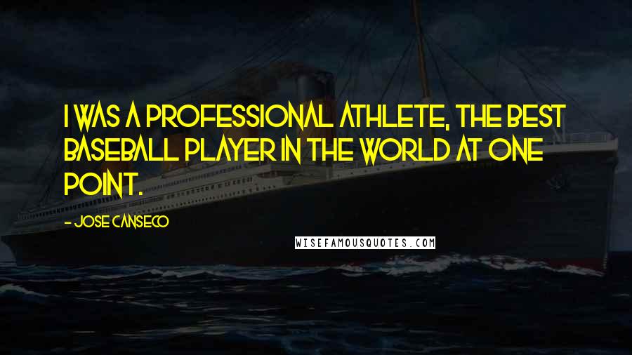 Jose Canseco Quotes: I was a professional athlete, the best baseball player in the world at one point.