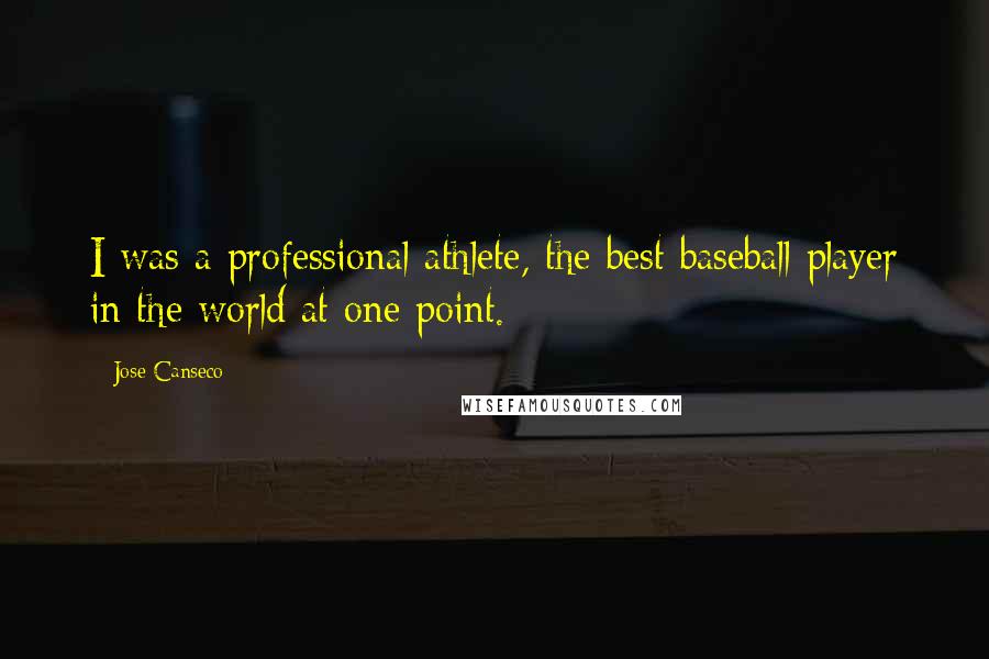 Jose Canseco Quotes: I was a professional athlete, the best baseball player in the world at one point.