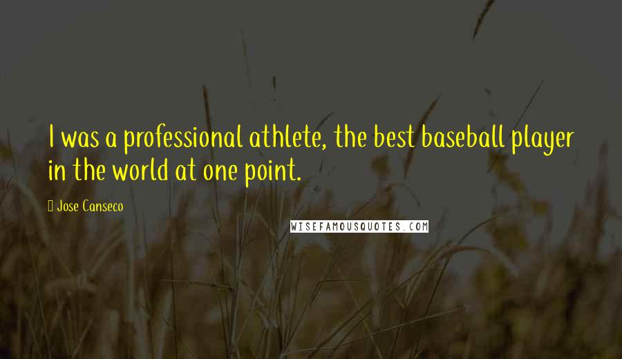 Jose Canseco Quotes: I was a professional athlete, the best baseball player in the world at one point.