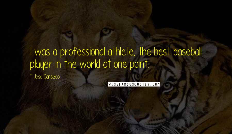 Jose Canseco Quotes: I was a professional athlete, the best baseball player in the world at one point.