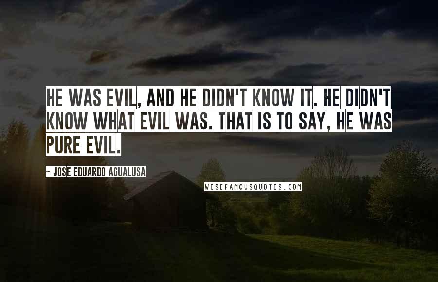 Jose Eduardo Agualusa Quotes: He was evil, and he didn't know it. He didn't know what evil was. That is to say, he was pure evil.