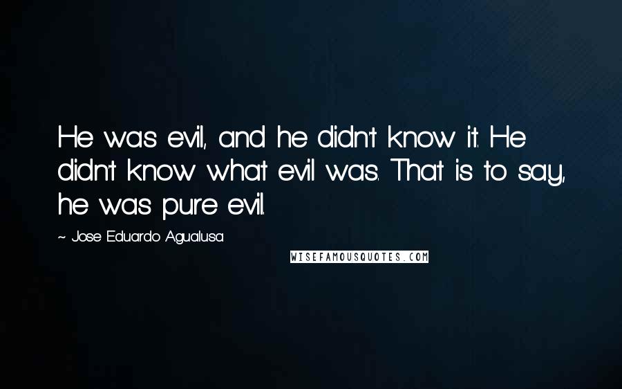 Jose Eduardo Agualusa Quotes: He was evil, and he didn't know it. He didn't know what evil was. That is to say, he was pure evil.