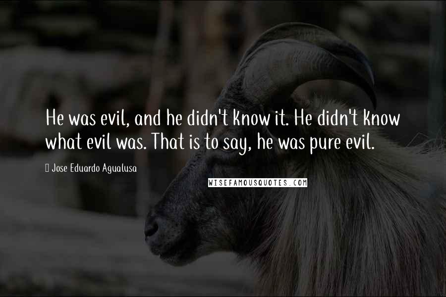 Jose Eduardo Agualusa Quotes: He was evil, and he didn't know it. He didn't know what evil was. That is to say, he was pure evil.