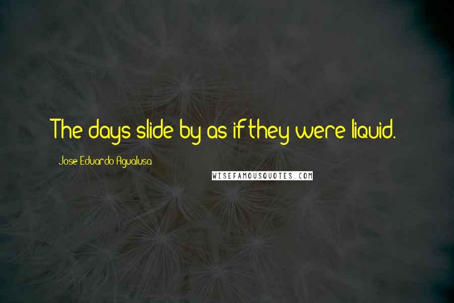 Jose Eduardo Agualusa Quotes: The days slide by as if they were liquid.