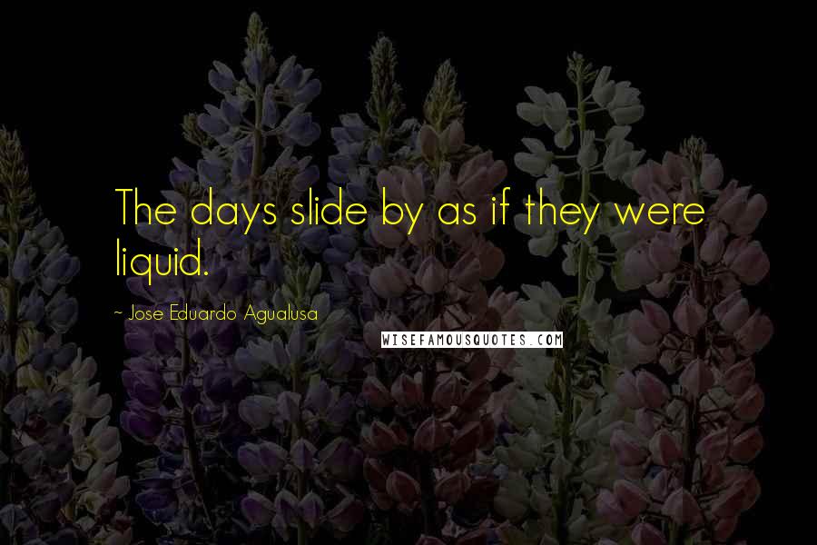 Jose Eduardo Agualusa Quotes: The days slide by as if they were liquid.