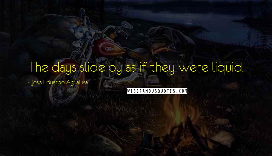 Jose Eduardo Agualusa Quotes: The days slide by as if they were liquid.