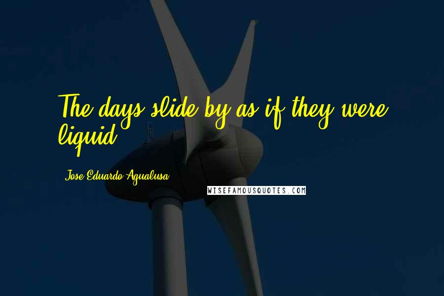Jose Eduardo Agualusa Quotes: The days slide by as if they were liquid.