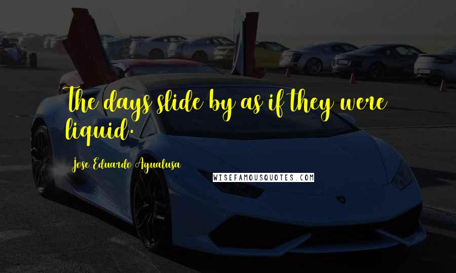 Jose Eduardo Agualusa Quotes: The days slide by as if they were liquid.