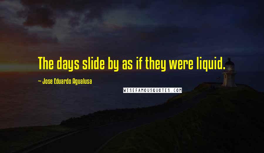 Jose Eduardo Agualusa Quotes: The days slide by as if they were liquid.