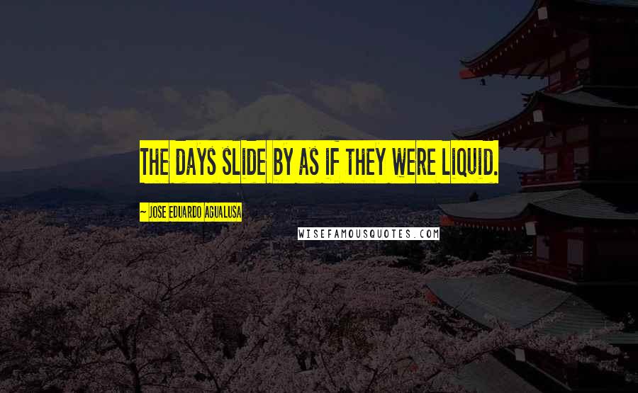 Jose Eduardo Agualusa Quotes: The days slide by as if they were liquid.