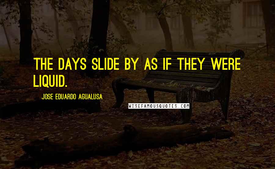 Jose Eduardo Agualusa Quotes: The days slide by as if they were liquid.