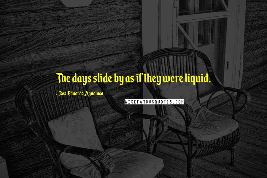 Jose Eduardo Agualusa Quotes: The days slide by as if they were liquid.