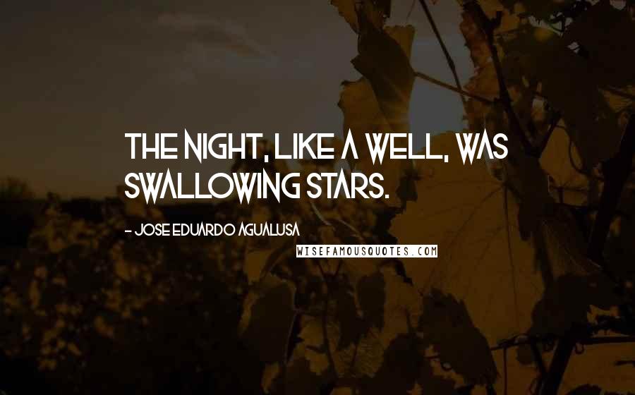 Jose Eduardo Agualusa Quotes: The night, like a well, was swallowing stars.