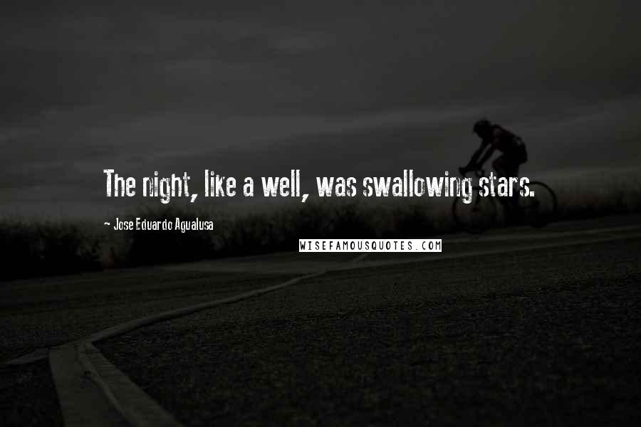 Jose Eduardo Agualusa Quotes: The night, like a well, was swallowing stars.