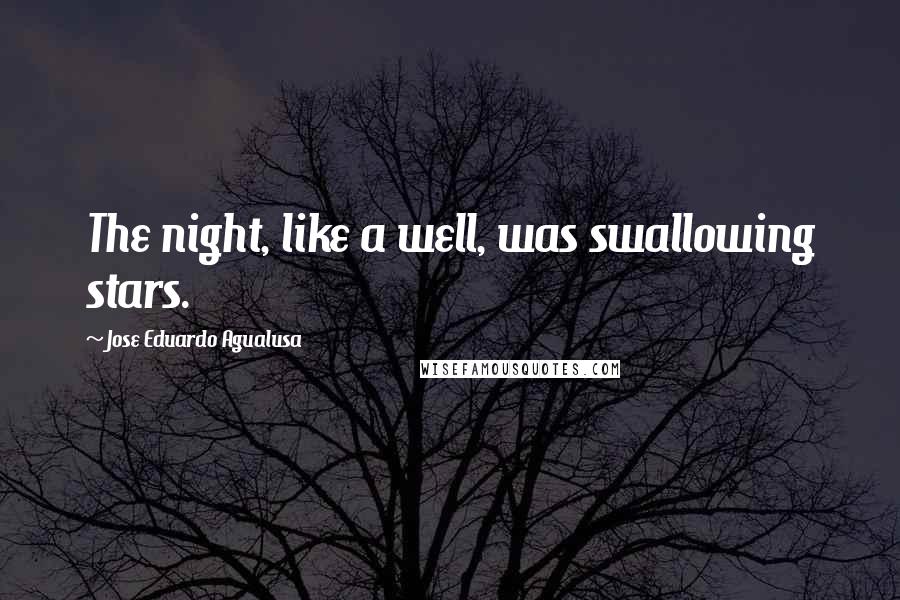 Jose Eduardo Agualusa Quotes: The night, like a well, was swallowing stars.
