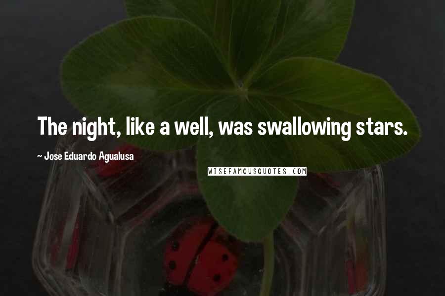 Jose Eduardo Agualusa Quotes: The night, like a well, was swallowing stars.