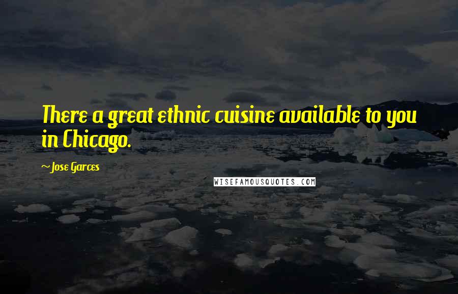 Jose Garces Quotes: There a great ethnic cuisine available to you in Chicago.