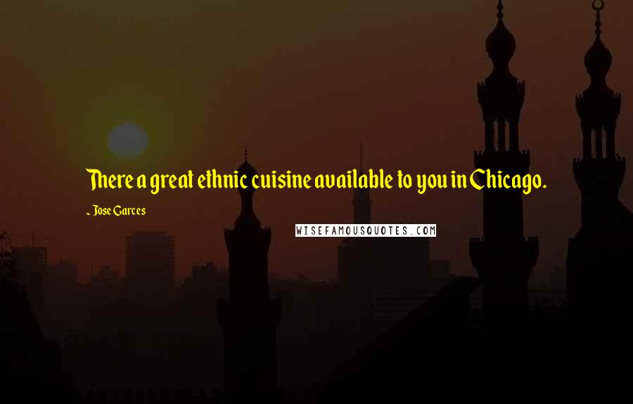 Jose Garces Quotes: There a great ethnic cuisine available to you in Chicago.