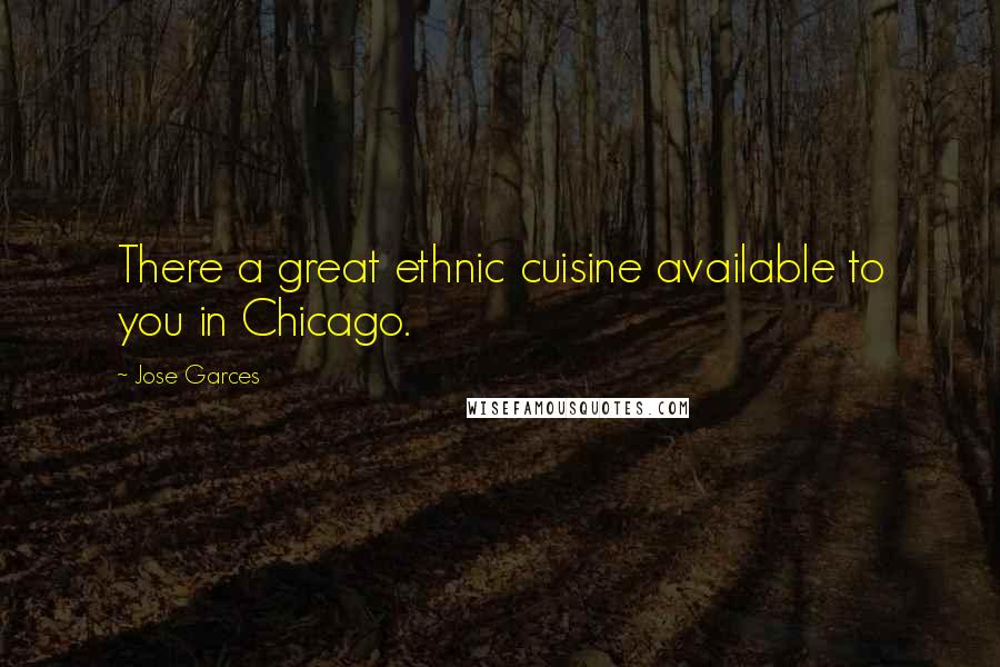 Jose Garces Quotes: There a great ethnic cuisine available to you in Chicago.