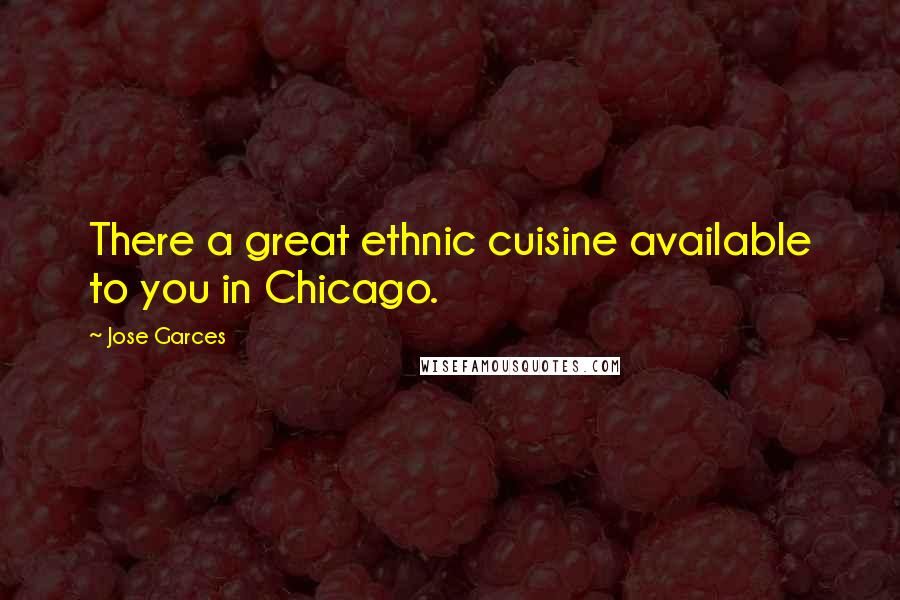 Jose Garces Quotes: There a great ethnic cuisine available to you in Chicago.